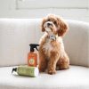 Deodorizing and Anti-Itching Waterless Shampoo