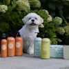 Deodorizing Shampoo for Pets