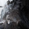 Deodorizing Shampoo for Pets